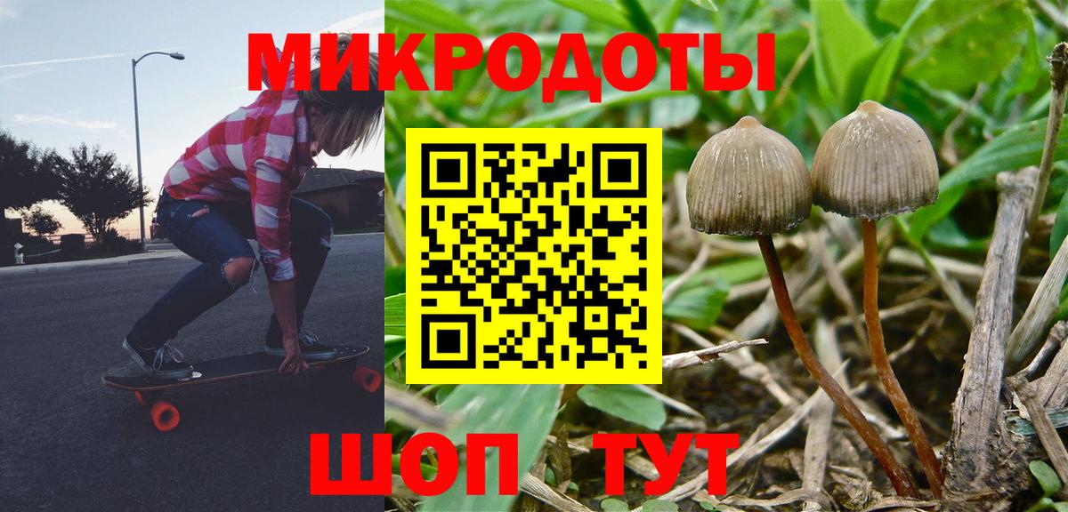 Псилоцибиновые грибы Cubensis Павлово
