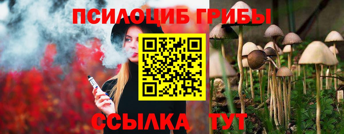Псилоцибиновые грибы MAGIC MUSHROOMS  Галлюциногенные грибы мицелий  Вход с VPN  Павлово 